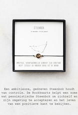 Sterrenbeeld armband steenbok