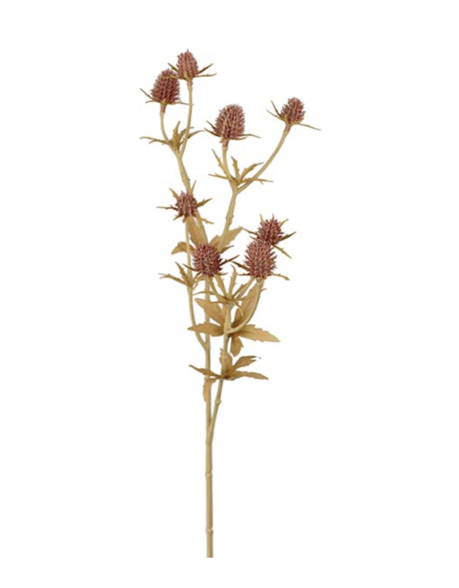 Kunstbloem  - Tistel