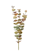Eucalyptus 3 tak meerkleurig