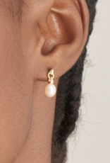 Ania Haie Oorbellen - Pearl drop stud - goud