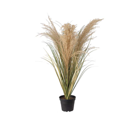Mr Plant - Gras 60cm