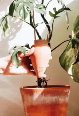 Pepin Planten hydratante - Olla Terra