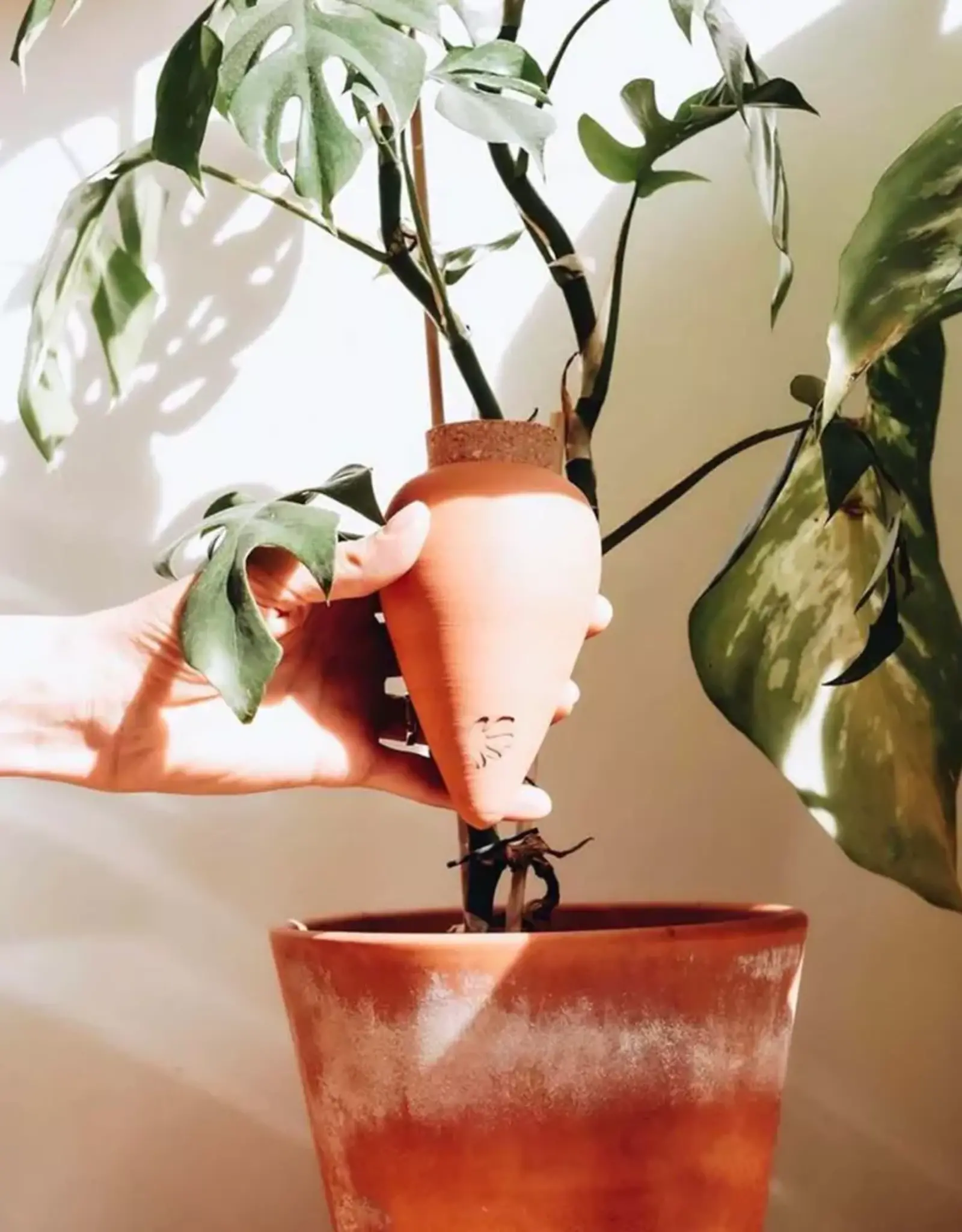 Pepin Planten hydratante - Olla Terra