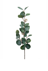 Eucalyptus met knopjes - 70cm