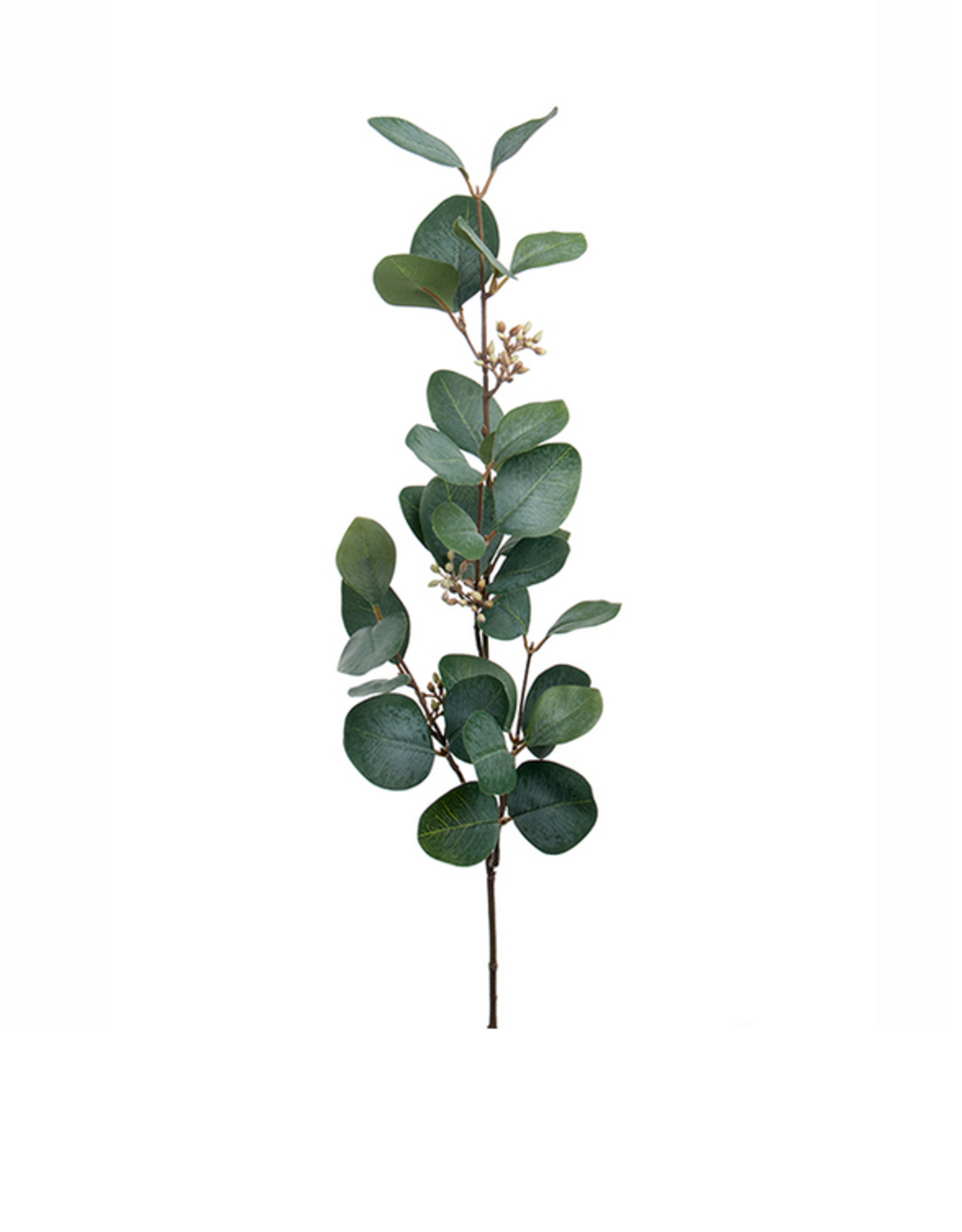 Eucalyptus met knopjes - 70cm