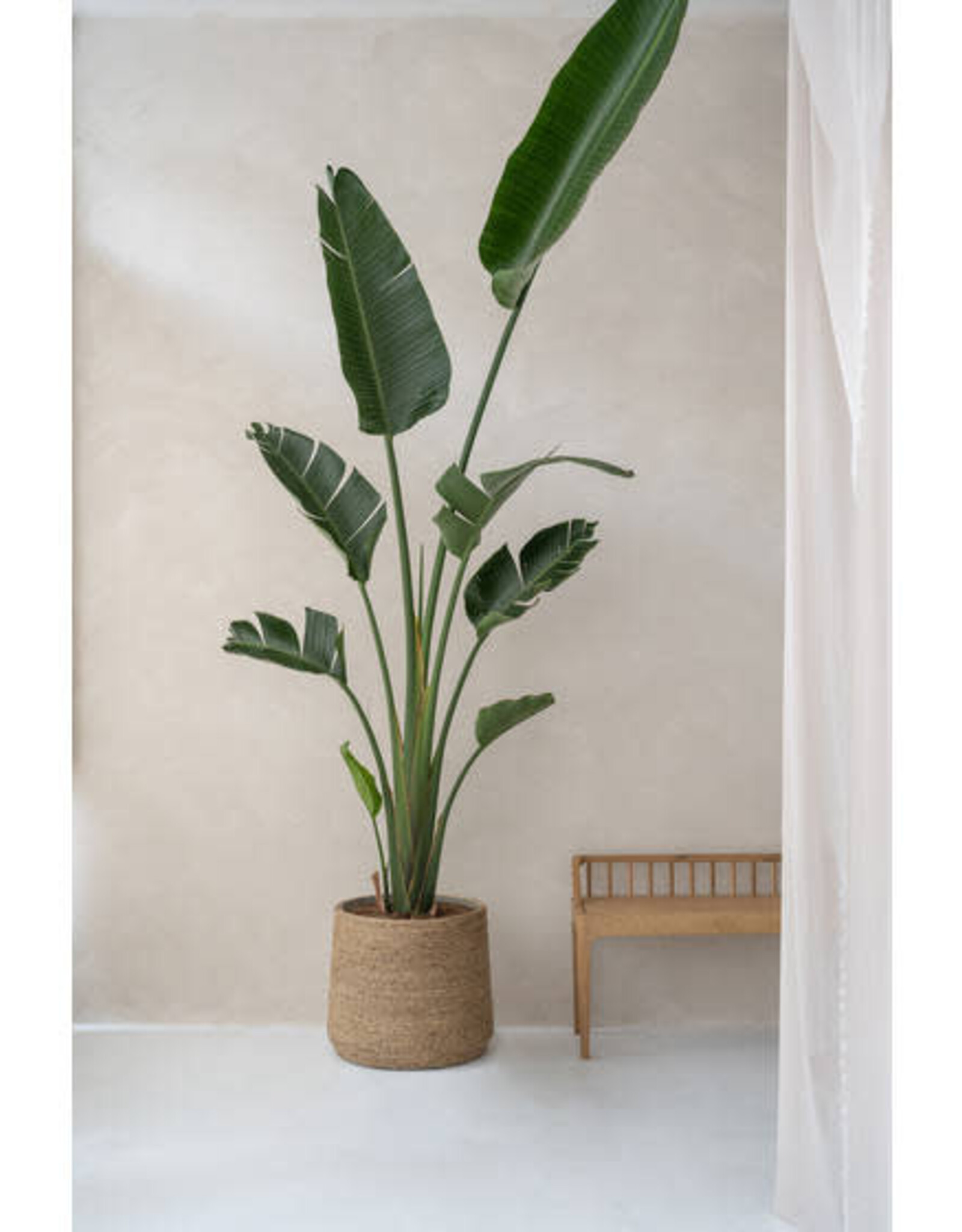 Pottery Pots Bloempot - Patt M, straw grass