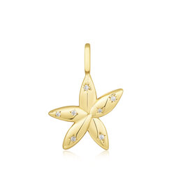 Ania Haie Charm - Ketting - Sparkle flower - goud