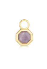 Ania Haie Charm - Oorbellen - Octagon gemstone - goud
