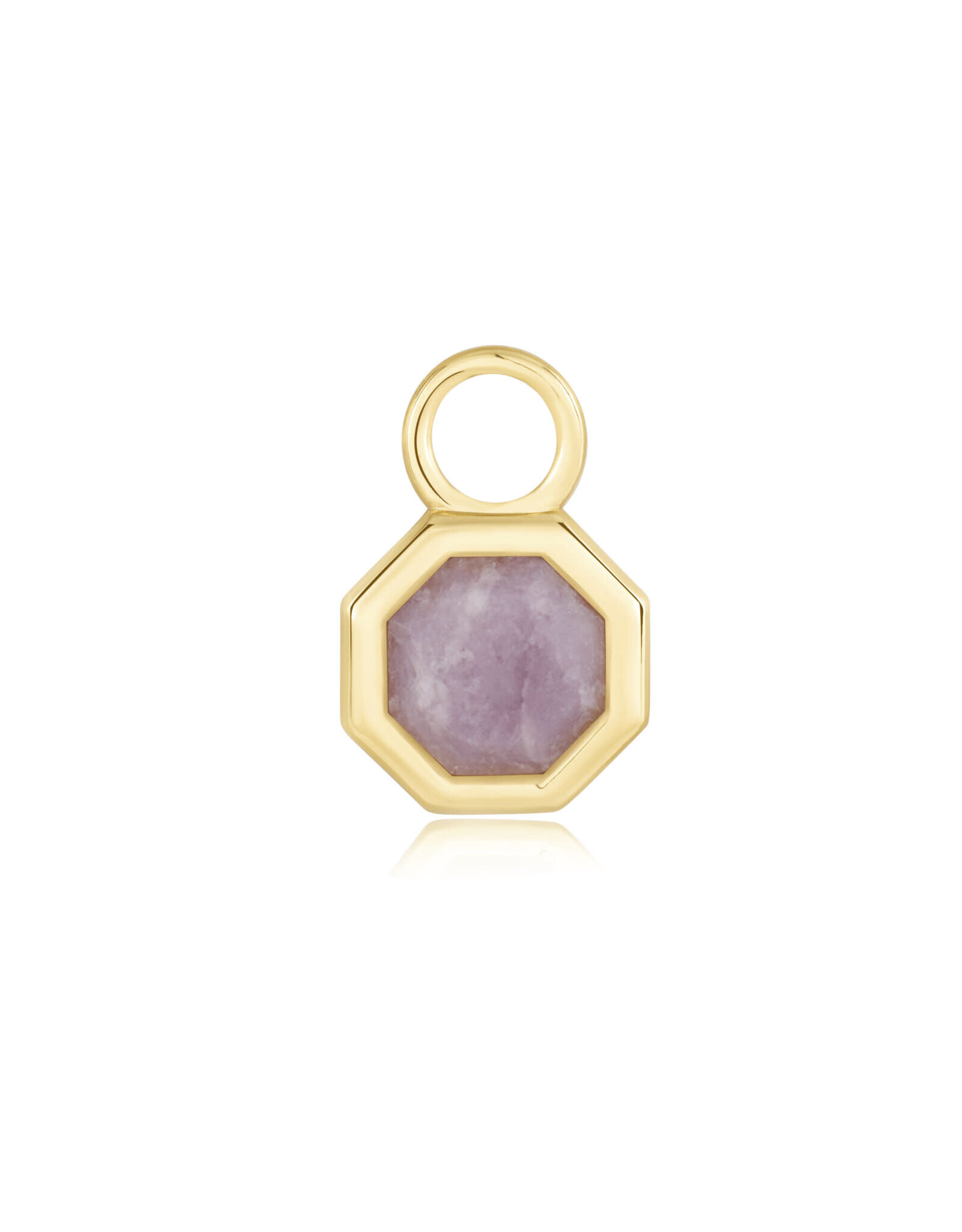 Ania Haie Charm - Oorbellen - Octagon gemstone - goud
