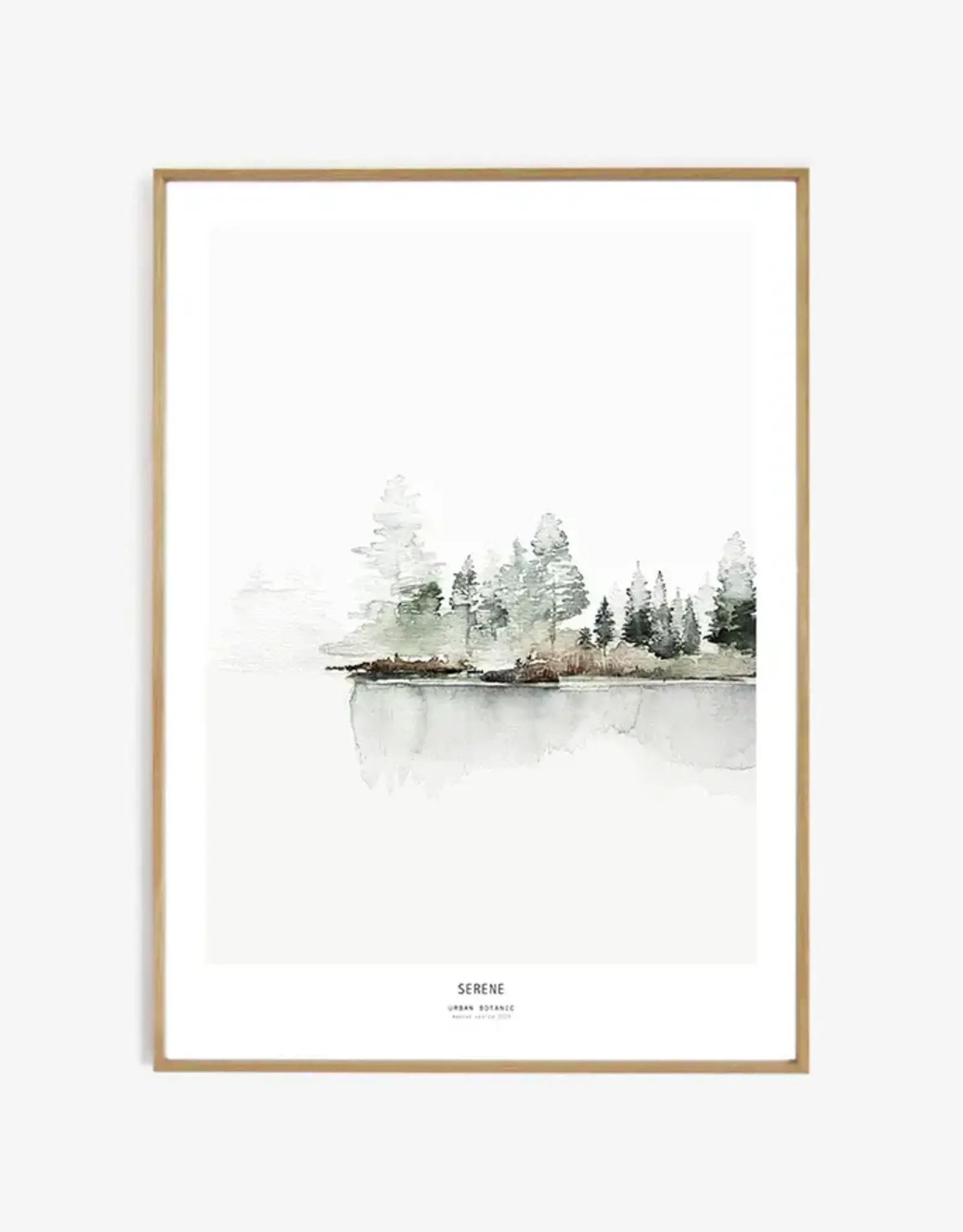 My Deer Art Shop Serene - 40x50