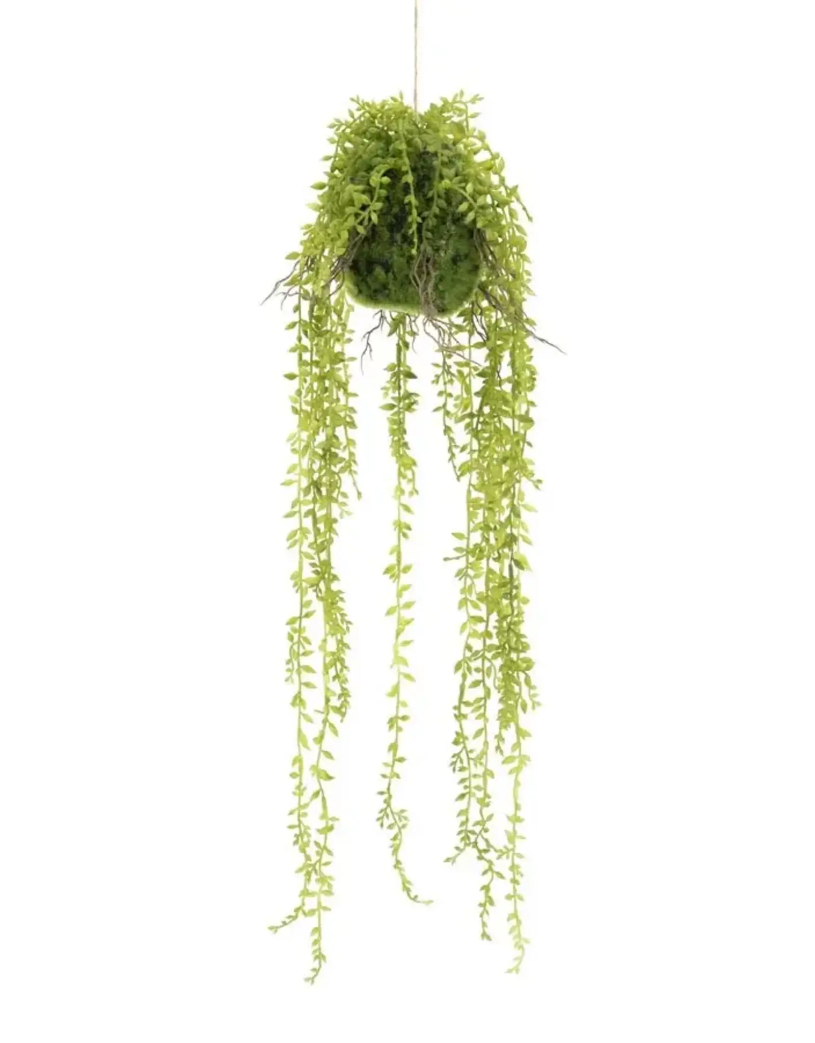 Kunstbloem - Hanging Ficus