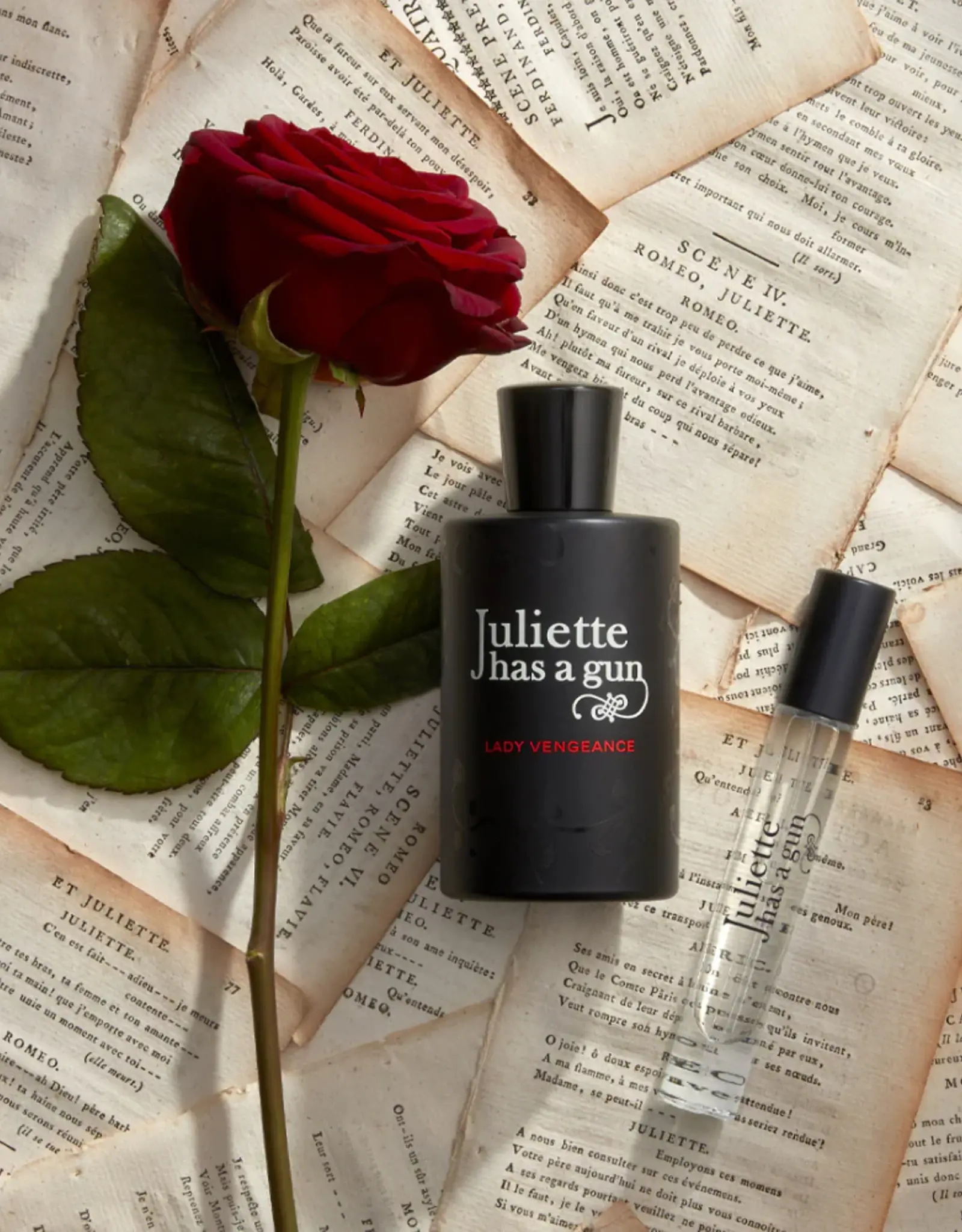 Juliette has a gun Lady Vengeance