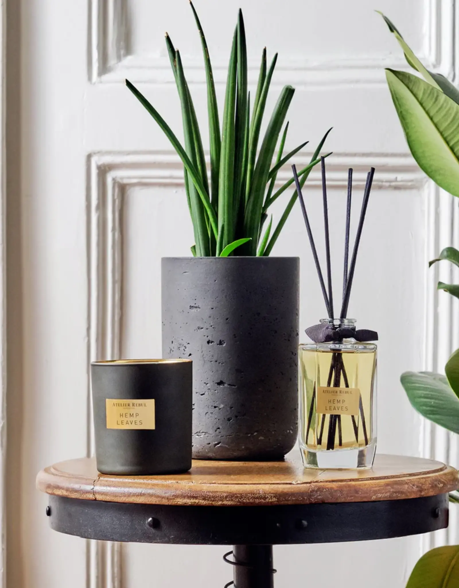 Atelier Rebul Hemp leaves - Scented candle 210gr