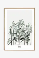 My Deer Art Shop Palms II - 40x50
