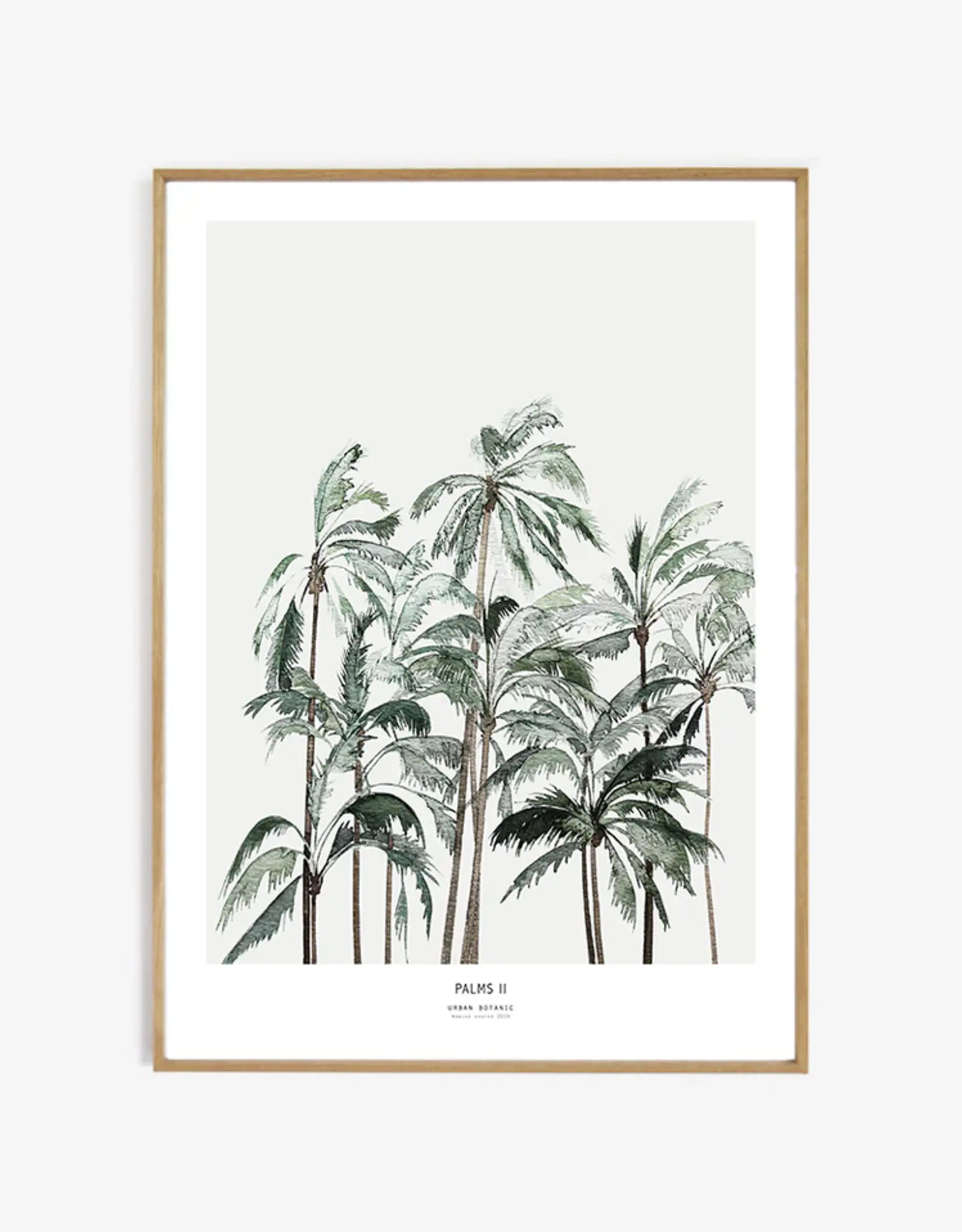 My Deer Art Shop Palms II - 40x50