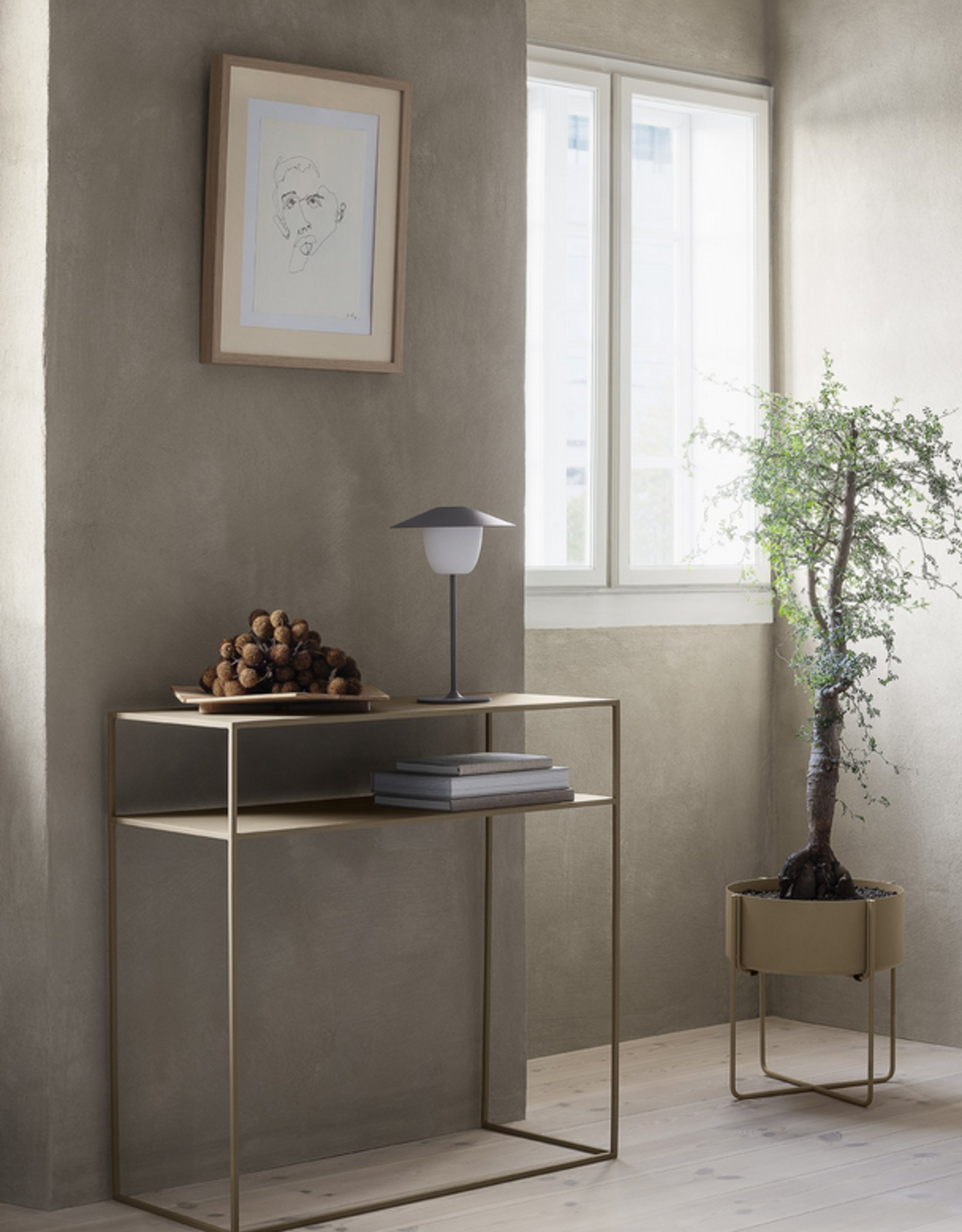Fera Console