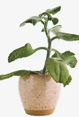 Madam Stoltz Bloempot - Stoneware peach