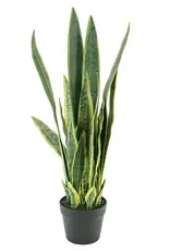 Kunstbloem - Sansevieria m