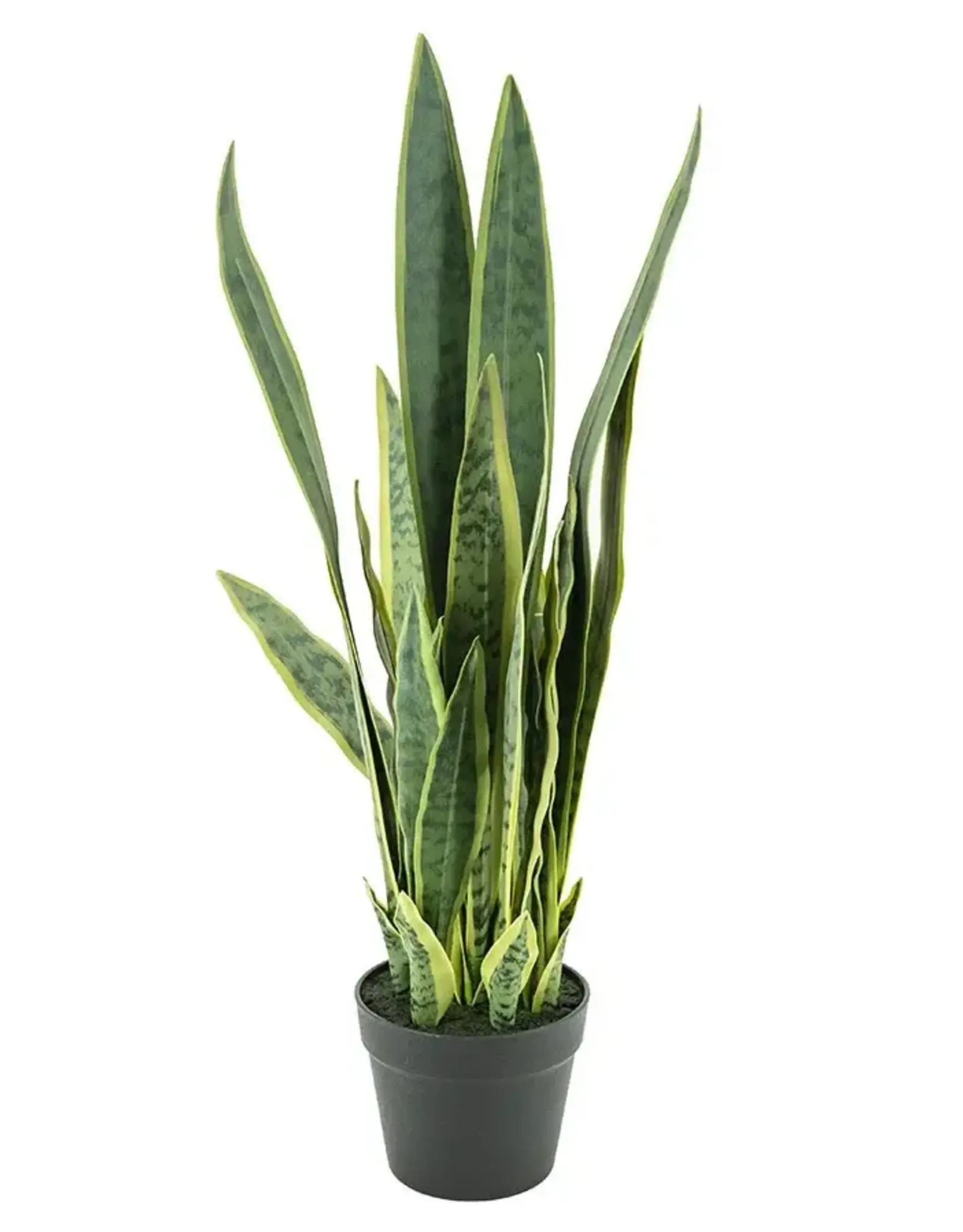 Kunstbloem - Sansevieria m