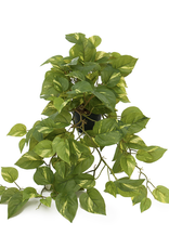 Kunstplant - Gullranka - small - 55 cm