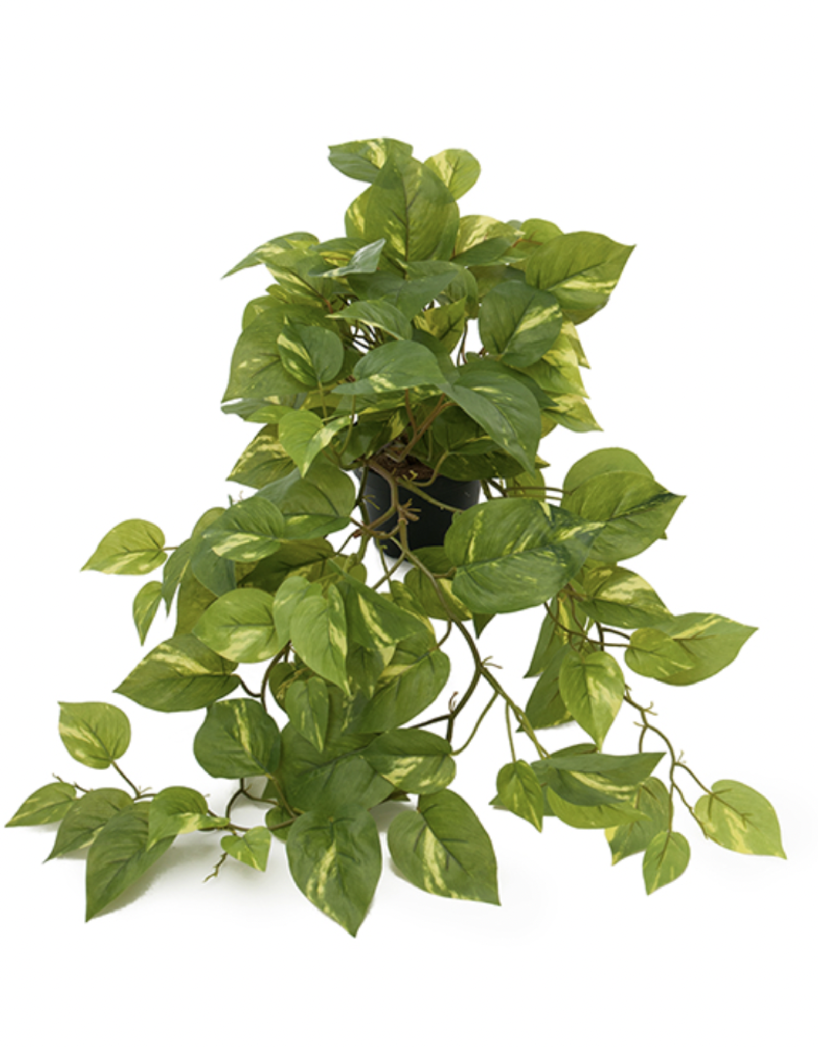 Kunstplant - Gullranka - small - 55 cm