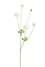 Kunstbloem - Ranunculus 90cm cream