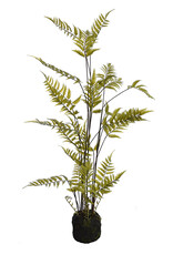 Pure Fern on soil base 75cm green