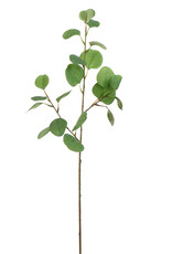 Kunstbloem - Eucalyptus 75cm groen