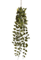 Kunstplant - Money hanging bush 75cm