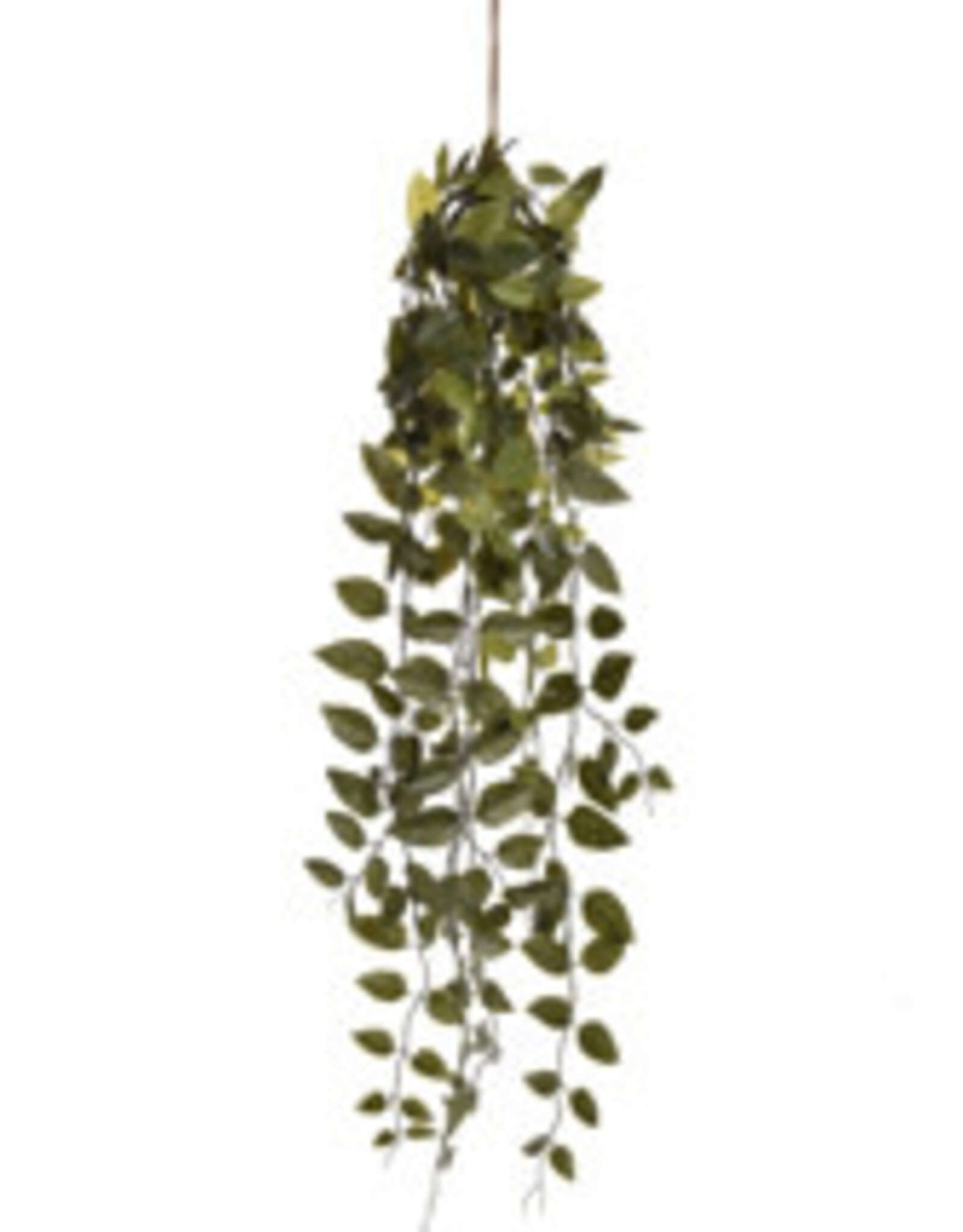 Kunstplant - Money hanging bush 75cm