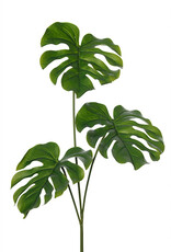 Kunstbloem - Monstera blad