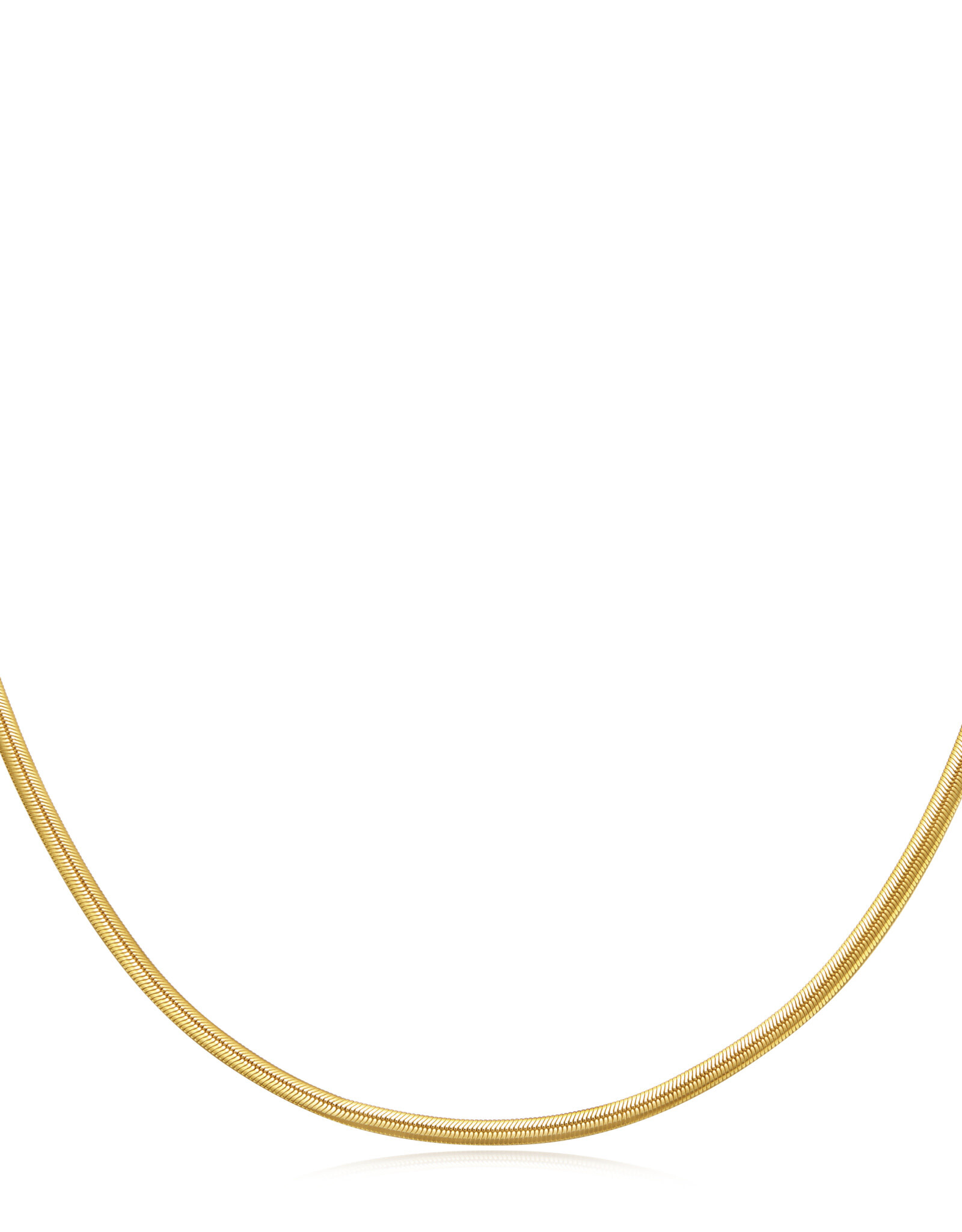 Ania Haie Ketting - Flat snake - goud