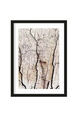 Urban Cotton Print - Soft coral 50x70