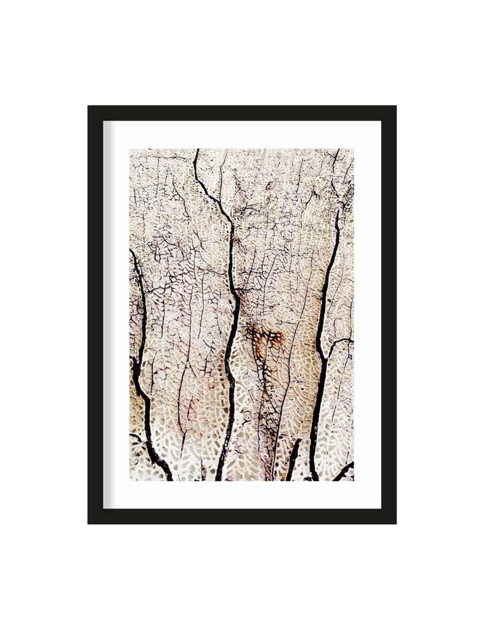 Urban Cotton Print - Soft coral 50x70