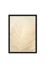 Urban Cotton Print - Feuille 50x70