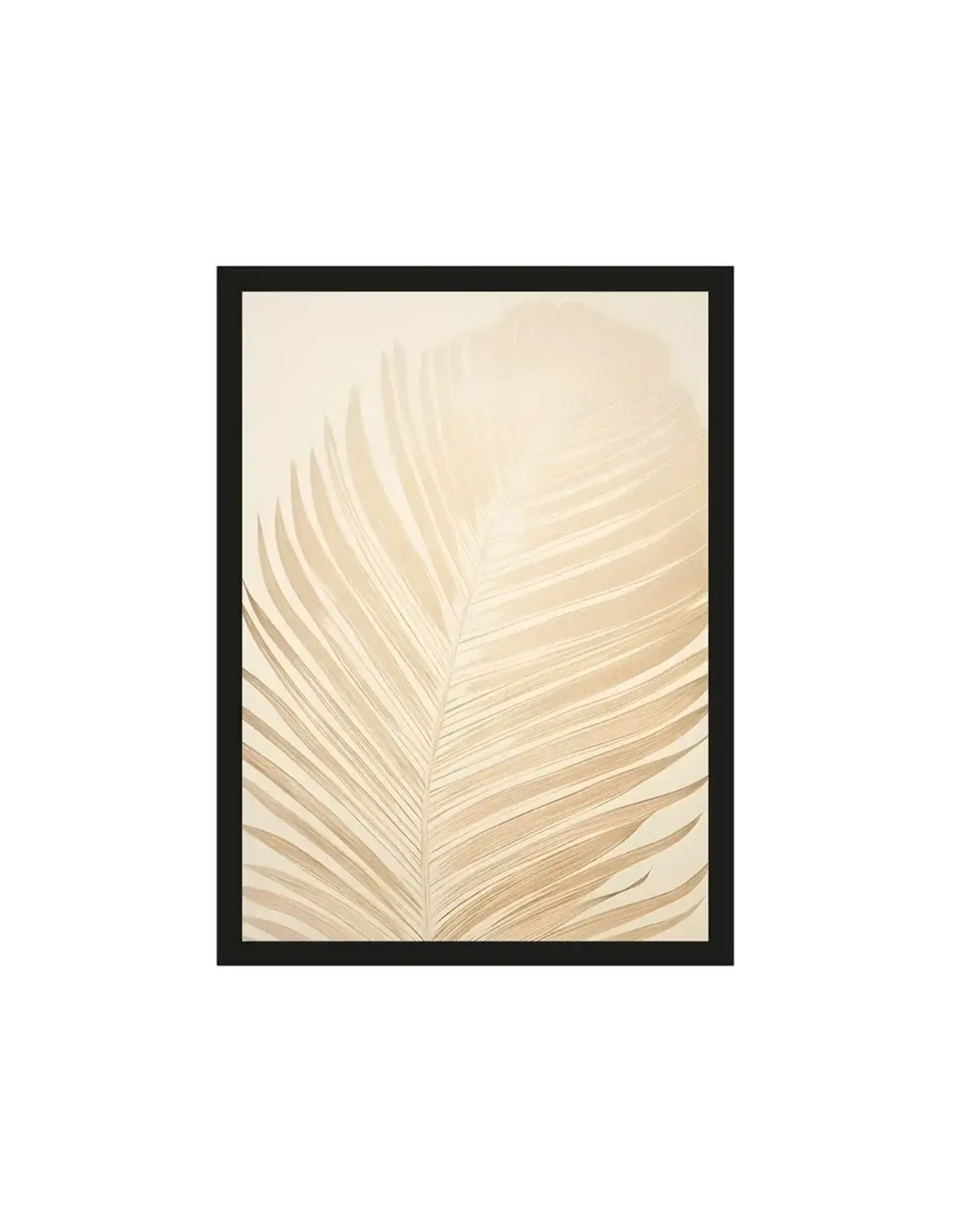 Urban Cotton Print - Feuille 50x70