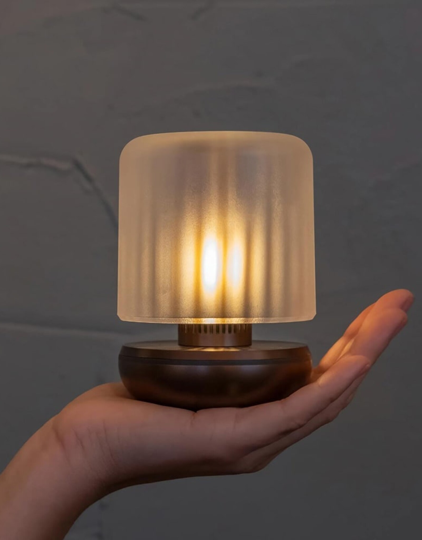 Humble Firefly - tablelight - Bronze Frosted