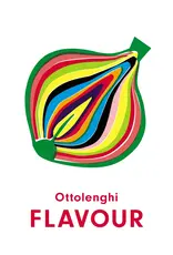 New Mags Boek - Ottenlenghi flavour