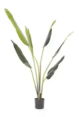 Kunstplant - Strelitzia small