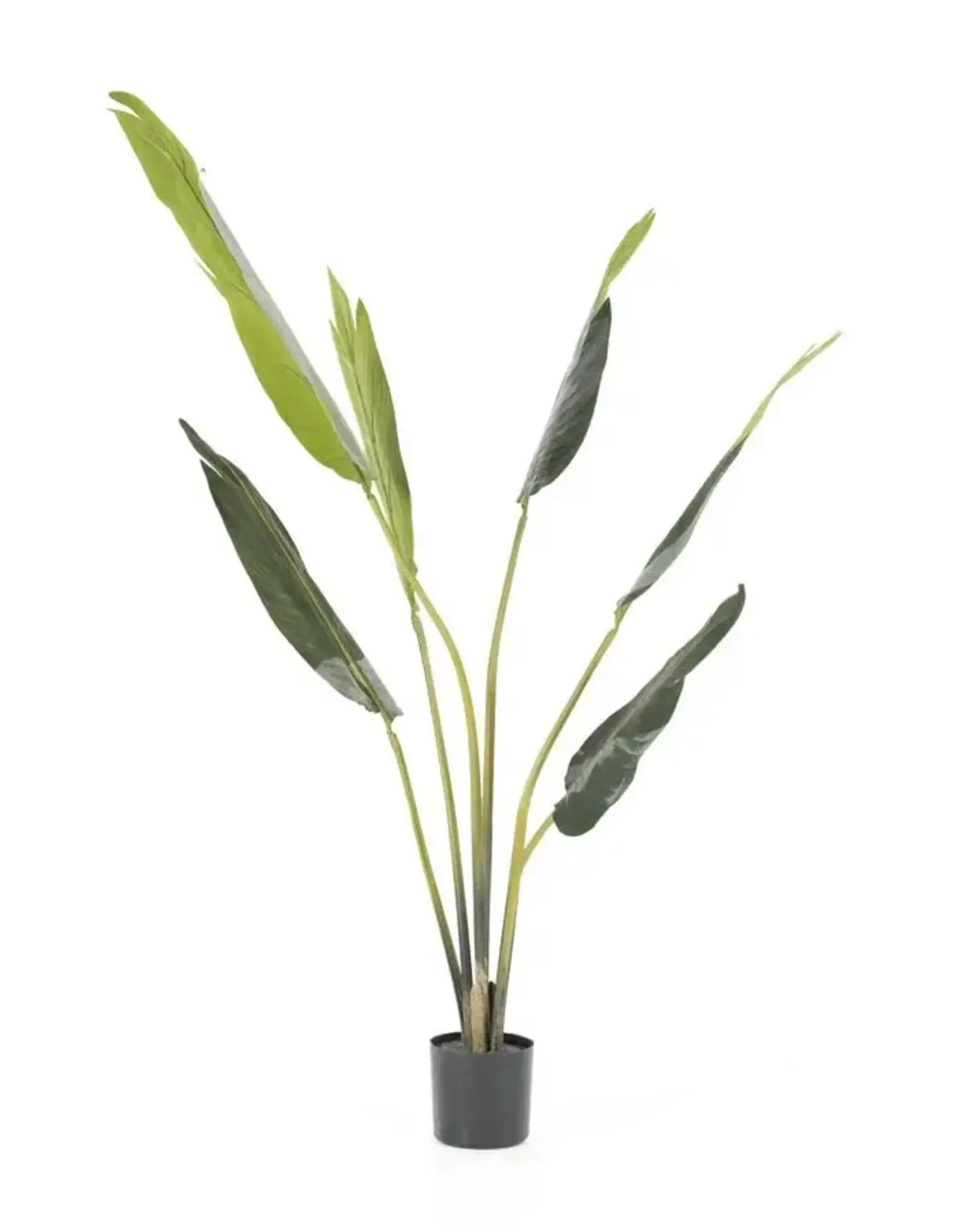Kunstplant - Strelitzia small