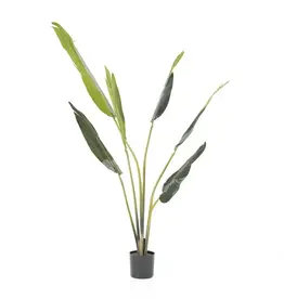 Kunstplant - Strelitzia small
