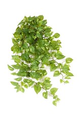 Kunstplant - Gullranka Large -100 cm