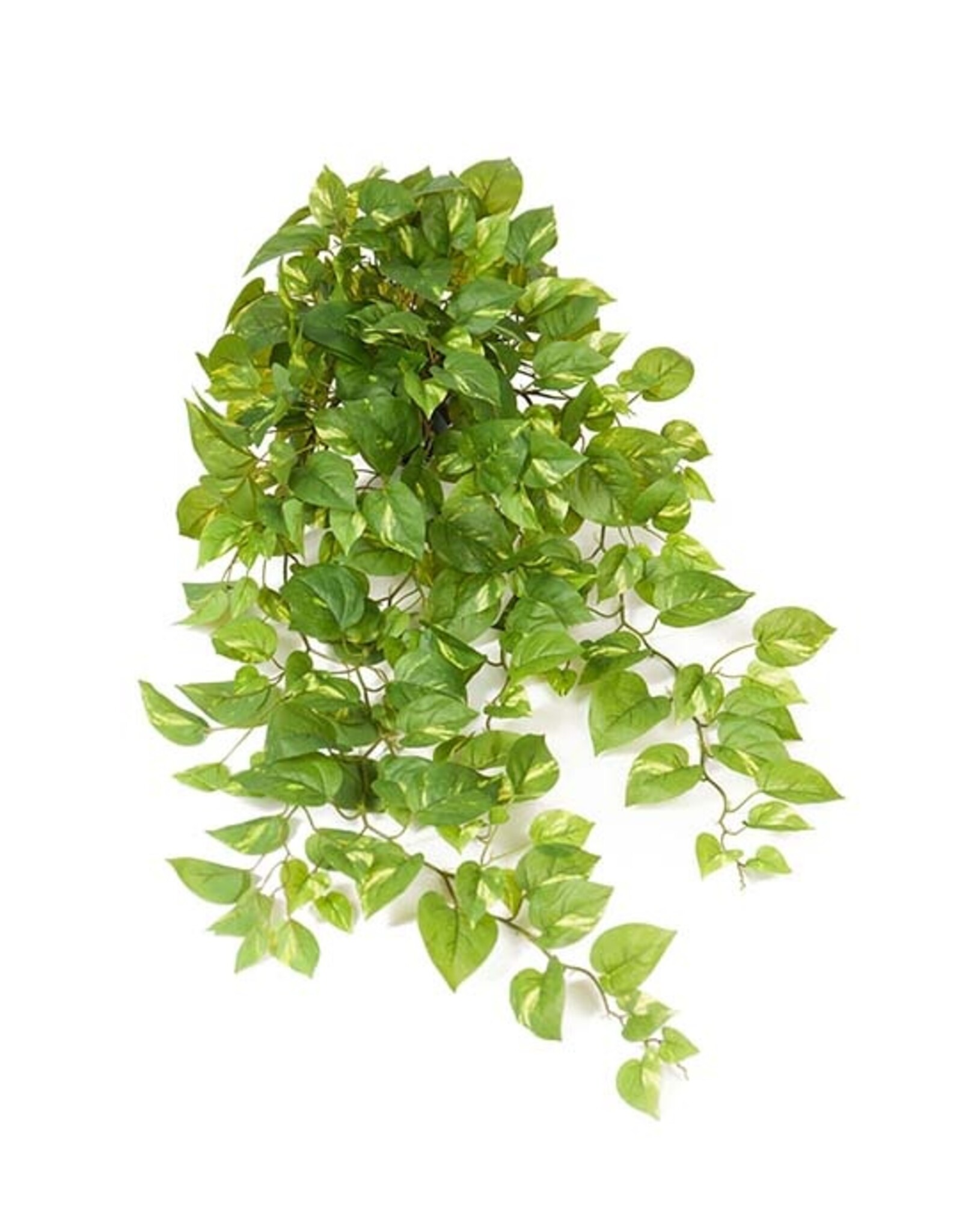 Kunstplant - Gullranka Large -100 cm
