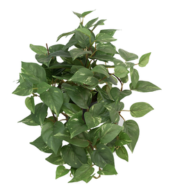 Kunstplant - Gullranka  - extra small - 30 cm