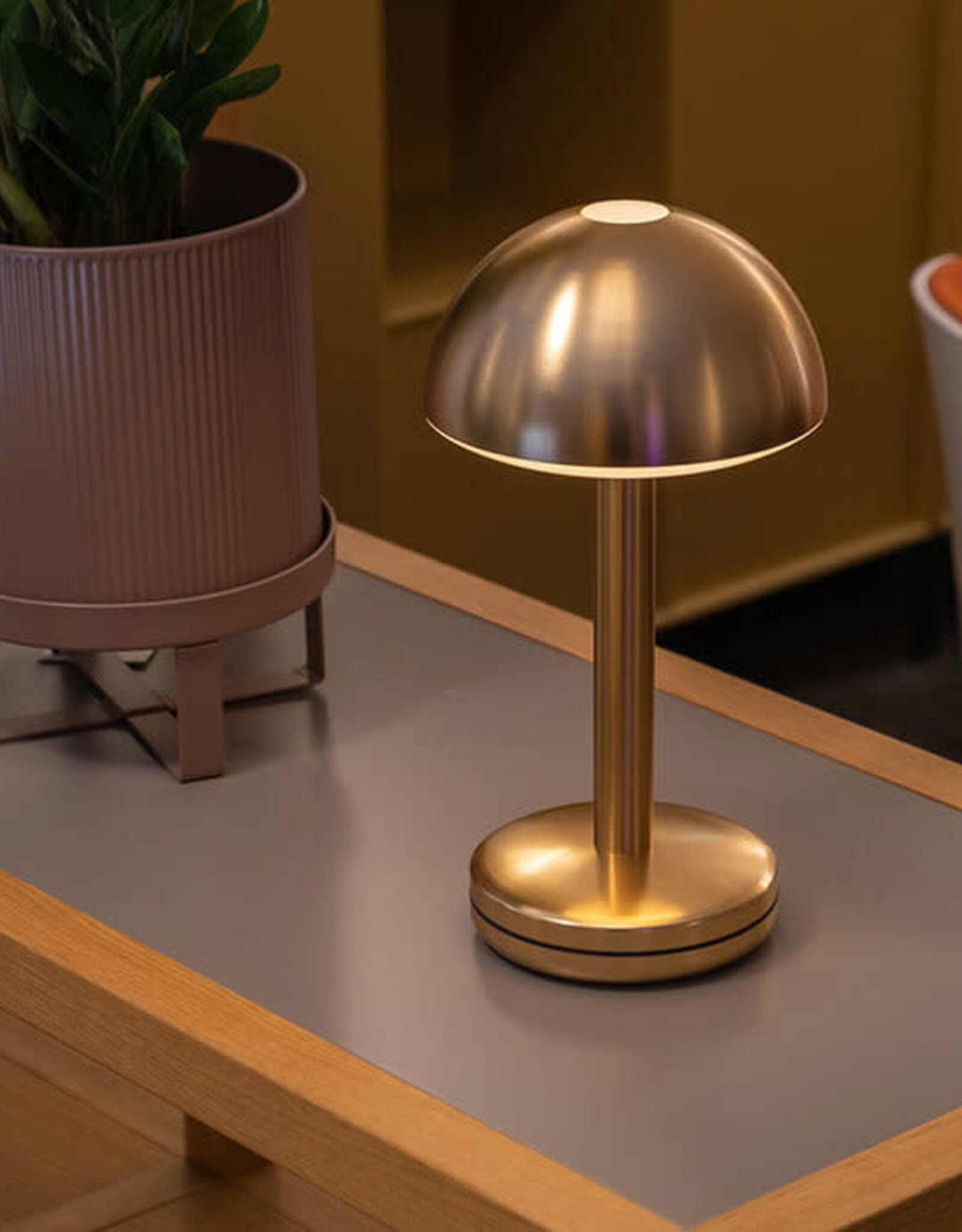 Humble Bug - tablelight - gold