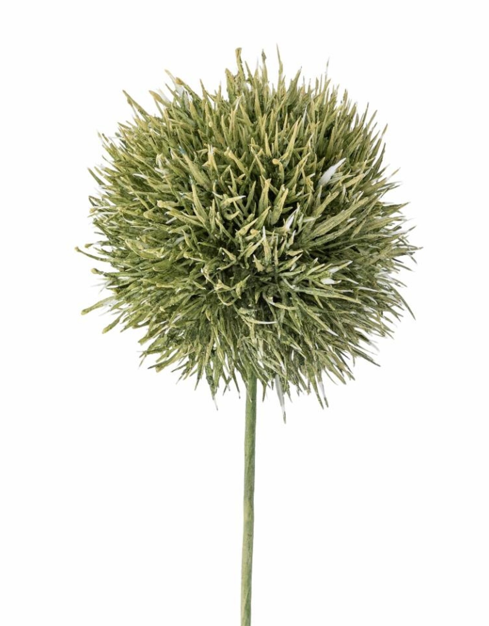 Bloomingville Kunstbloem - Allium stem groen - H63cm