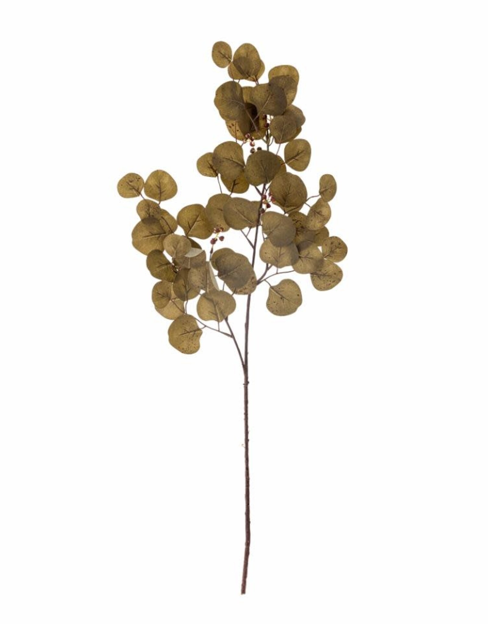 Bloomingville Kunstbloem - Eucalyptus stem bruin - H86cm