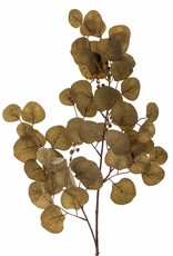 Bloomingville Kunstbloem - Eucalyptus stem bruin - H86cm