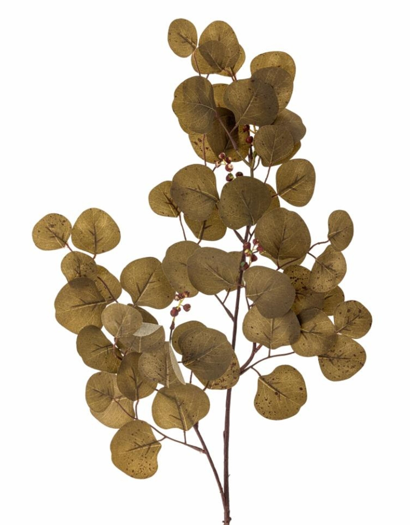 Bloomingville Kunstbloem - Eucalyptus stem bruin - H86cm