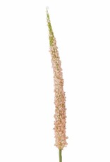 Bloomingville Kunstbloem - Foxtail stem rose - H73cm